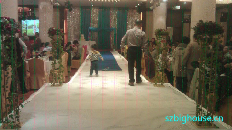 ����ά����Ƶ����