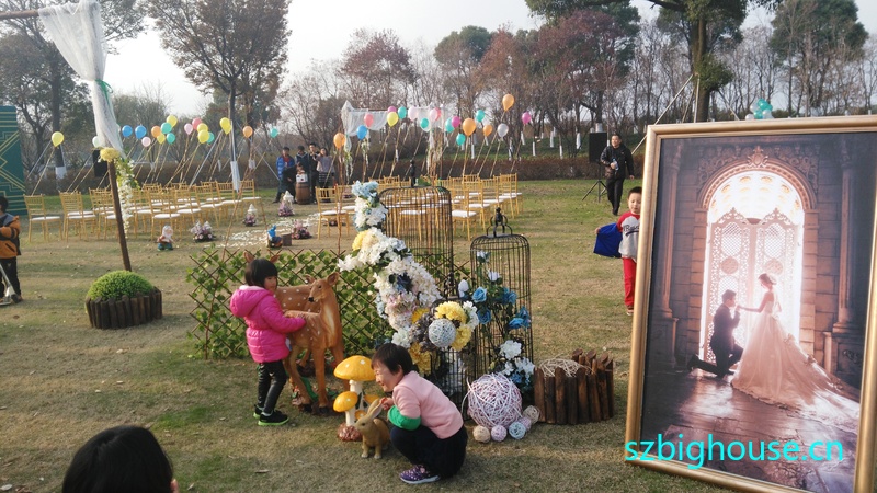 �������κ���԰��ƺ�������