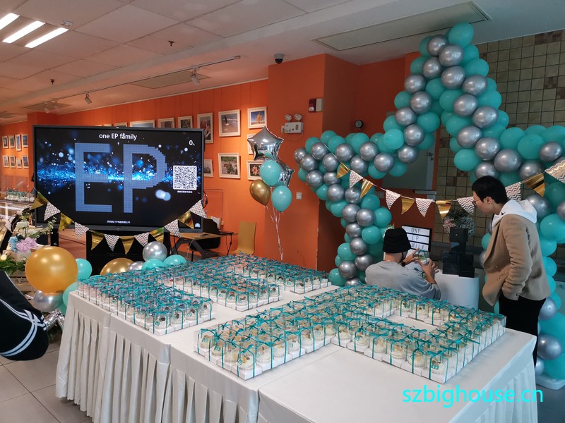 ���������ӵ������޹�˾EP